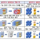 네이티브서울 이미지