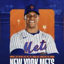 소토소토 이미지