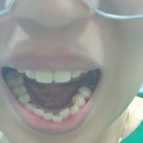 서울김치과의원 이미지