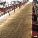 우상농장 이미지