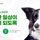 한국마즈(유) 비욘드포스트