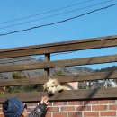 설악산자연학교 이미지