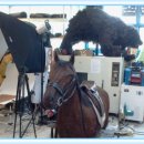 KBS 수원센터 이미지