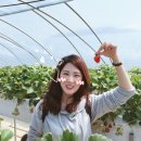 매골농장 네이버블로그