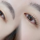 아도라뷰티 | 아도라뷰티 야당동속눈썹펌후기 살펴보기 전, 제대로 알아보는 속눈썹펌 선택 가이드