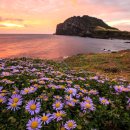 성산의 아침 이미지