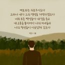 애가