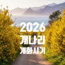 개나리카써비스 | 개나리 개화시기 안내 및 전국 지도 - 2026 봄꽃 피는 시기 소개