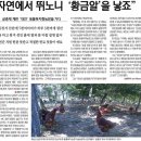 모후농장 네이버블로그