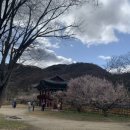 매화세탁소 이미지