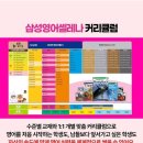 앨리스영어교실