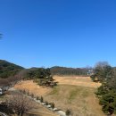 칠곡양떼목장 | 칠곡양떼목장 후기 | 봄 햇살 아래에서 만난 양들과의 한낮 산책