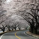 섬진주유소 이미지
