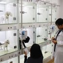 루이스24시동물병원 이미지