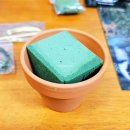 핸드폰으로 내 동영상 만들기 | 비즈식물 만들기 콩란 비즈화분 DIY 내돈내산 후기