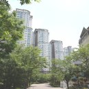 사평대로(북측) 이미지