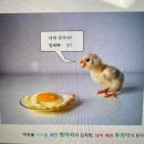 크리스탈 골프클럽 | 태국 푸켓 로치팜(Loch Palm) 골프클럽 라운딩 후기