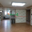 송화 우미 이미지