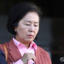 김영선 카카오 검색결과
