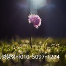 건축물 일반 청소업 이미지
