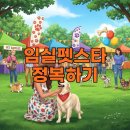 펫소풍 | 2026 임실펫스타 일정 프로그램 및 방문 후기 꿀팁 정리