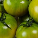 서영농장 이미지