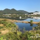 덕우낚시터 이미지