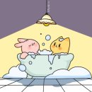 마음똑똑정신건강의학과의원 | 왜 우리는 다정하고 똑똑한 사람에게 끌릴까 — 사랑의 진화 이야기 | 여의도정신과