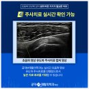 현대통증의학과의원