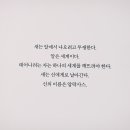 2016년을 보낸 탄이들_석진, 태형, 지민 (feat. 윙즈 컨셉북 인터뷰) 이미지