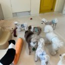 로엘유치원 이미지