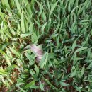 아지네농장 이미지