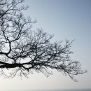 거전마을 이미지