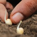 충주시농업기술센터 이미지