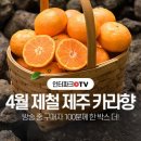 롯데마트아모레퍼시픽 이미지