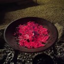 어반티지 글램핑 카라반 펜션 이미지