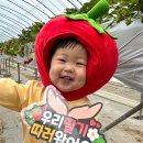 햇살2반 딸기밭으로 떠나요🍓 이미지