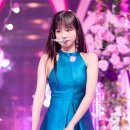 fiesta 이미지