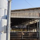 연정1리경로당 이미지