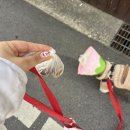 신길 온동물병원 이미지