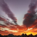 새벽노을 이미지