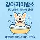 강아지이발소 | [공지] 🐶 양주 덕계 강아지미용실 추천 💈 강아지이발소 재오픈 안내