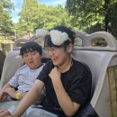 한힘태권도장 | 🥋 [양천구신정동태권도 추천] 태낭태사 태권도장, 에버랜드 고학년 캠프에서 확인한 진짜 성장의 힘...
