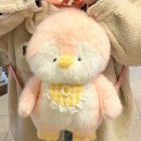 서초중앙로238 가든리체프라자 앞 | [주간 일기] 2025년 10월 27일 ~ 2025년 10월 31일