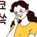 힐링힐스 동물 치과병원 이미지