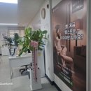 하꾸주코리아 네이버블로그