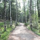 아름드리 목장 이미지