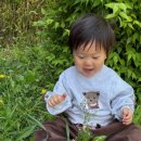 더힐글램핑 이미지