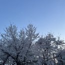 용인대태풍태권도장 이미지