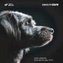 토리프로젝트 이미지